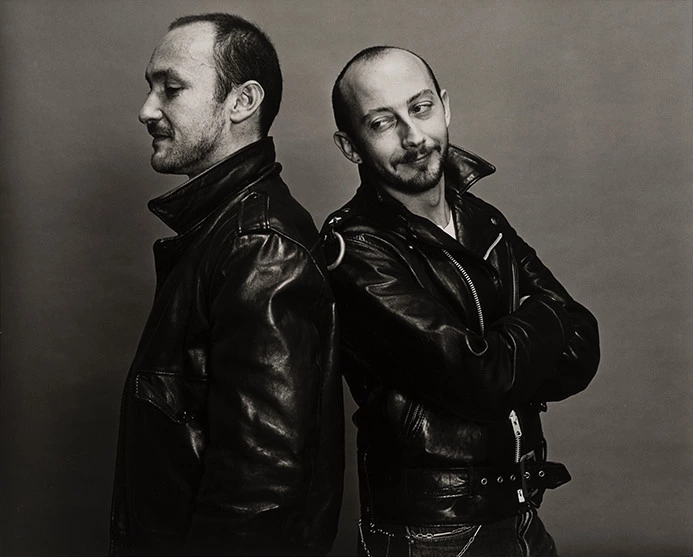 Roman et « désir raconté ». Lecture de « F.B. »