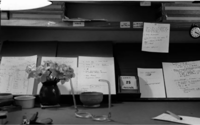 Le projet de philologie active